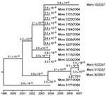 Thumbnail of Phylogenetic tree and molecular clock of Morogoro virus based on partial large gene sequences of 17 strains (340 nucleotides; GenBank accession nos. EU914104 and EU914107–EU914122). Phylogeny was inferred with the BEAST v1.4.8 package (11) under assumption of a relaxed lognormal molecular clock and general time reversible substitution model with gamma-distributed substitution rate variation among sites. Branches with posterior probability &lt;0.5 were collapsed. The substitution rat