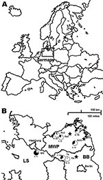 Thumbnail of Seroprevalence of Dobrava-Belgrade virus (DOBV) in Apodemus agrarius mice within 3 federal states of Germany, central Europe. A) Location of the study area (box). B) Locations of the study sites. WG, Lüneburg district, Lower Saxony (LS); Pe1 and Pe3, Güstrow district; H, Nordvorpommern district, K/A1, Demmin district, all Mecklenburg-Western Pomerania (MWP); To and Ka, Ostprignitz-Ruppin district, Brandenburg (BB). For each trapping site, the rate of seroreactive A. agrarius mice is