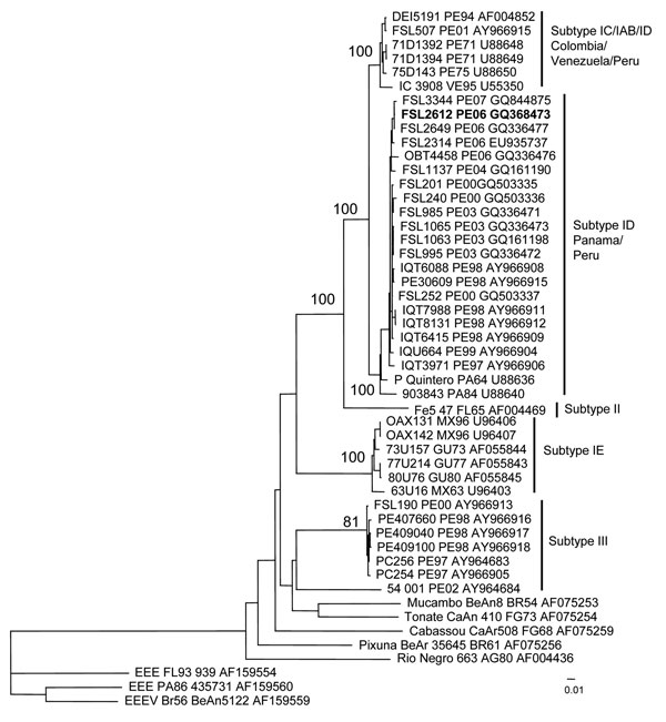 Neighbor-joining phylogenetic tree of Venezuelan equine encephalitis virus (VEEV) complex based on partial sequence of the PE2 segment (nucleotide positions ≈8385–9190 of the VEEV genome). The tree was rooted by using an outgroup of 3 major lineages of Eastern equine encephalitis virus (EEEV). The strain isolated from a 7-year-old girl who died from acute VEEV infection in Peru, June 21, 2006, is in boldface. Viruses are labeled by code designation, abbreviated location name, year of isolation (