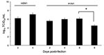 Thumbnail of Effect of influenza A virus subtype strains H5N1 and H1N1 on lung virus titers 2–8 days after intranasal inoculation of 10× the 50% mouse lethal dose on day 0. Titers are expressed as the log10 median tissue culture infectious dose (TCID50) units per milliliter of lung homogenate. Significantly different titers are indicated (nonparametric Mann-Whitney test). Error bars indicate SD calculated from individual virus titers. *p &lt;0.05.