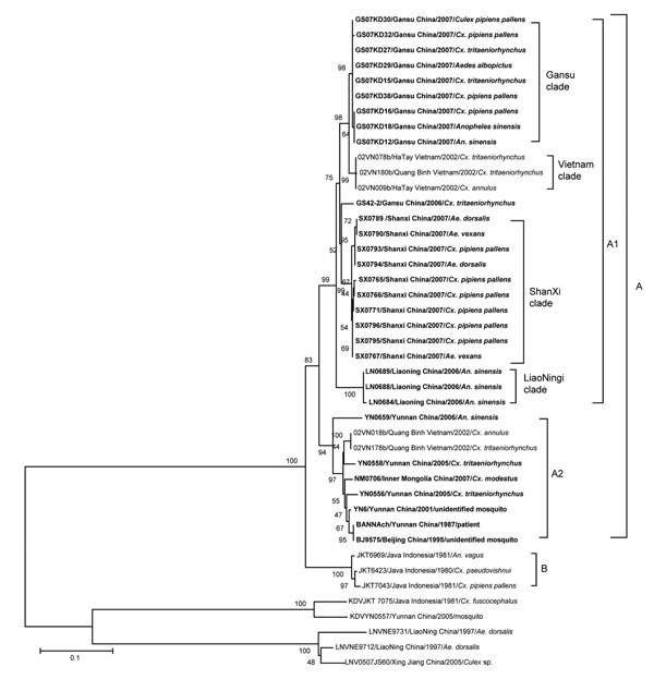 Phylogenetic analysis based on the complete coding sequence of the 12th segment of Banna viruses (BAVs) currently isolated. Phylogenetic analyses were performed by the neighbor-joining method using MEGA version 4 software (www.megasoftware.net). Bootstrap probabilities of each node were calculated with 1,000 replicates. The tree was rooted by using Kadipiro virus and Liaoning virus as the outgroup viruses. Scale bars indicate a genetic distance of 0.1-nt substitutions per site. Isolates obtained