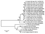 Thumbnail of Phylogenetic tree based on partial (779-bp) msp4 nt sequences of Anaplasma spp., obtained by using the neighbor-joining method with Kimura 2-parameter analysis and bootstrap analysis of 1,000 replicates. Numbers on branches indicate percent of replicates that reproduced the topology for each clade. Parentheses enclose GenBank numbers of the sequences used in the phylogenetic analysis. Boldface indicates sequences obtained from rodents and sheep from northeastern China, May 2009. Sca