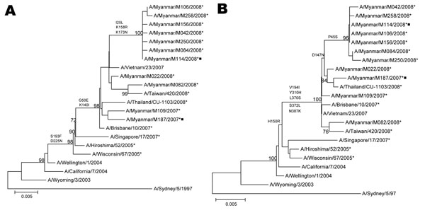 Phylogenetic analysis of the hemagglutinin (HA) (A) and neuraminidase (B) genes of influenza virus A (H3N2) isolates in Myanmar in 2007 and 2008. Trees were generated by using the neighbor-joining method. Bootstrap values &gt;70% of 1,000 replicates and amino acid changes that characterize a branch are indicated on the left side of the node. Amantadine-resistant isolates with S31N mutation in M2 are marked with asterisks, and isolates with reduced sensitivity to zanamivir with Q136K mutation in