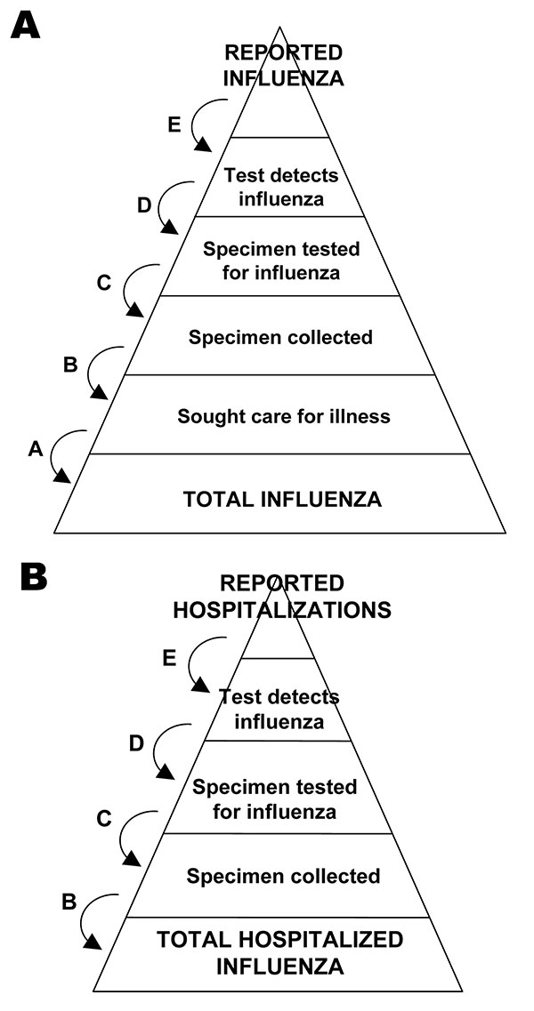 Schematic of the steps involved in adjusting counts of reported cases of pandemic (H1N1) 2009 to estimate total cases.