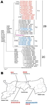 Thumbnail of Phylogenetic analysis of influenza A (H1N1) neuraminidase genes (A) and geographic distribution of oseltamivir-resistant viruses (ORVs) (B) isolated from Tottori Prefecture, Japan, 2007–08. ORVs fell into either Northern-Eu lineage (red) or Hawaii lineage (blue); Tottori ORVs and current vaccine strains are indicated by black and purple, respectively. A) ORVs formed 3 subclades: T-1, sharing V75A and D354G; T-2, without common changes; and T-3, sharing M188L. Sampling dates are give