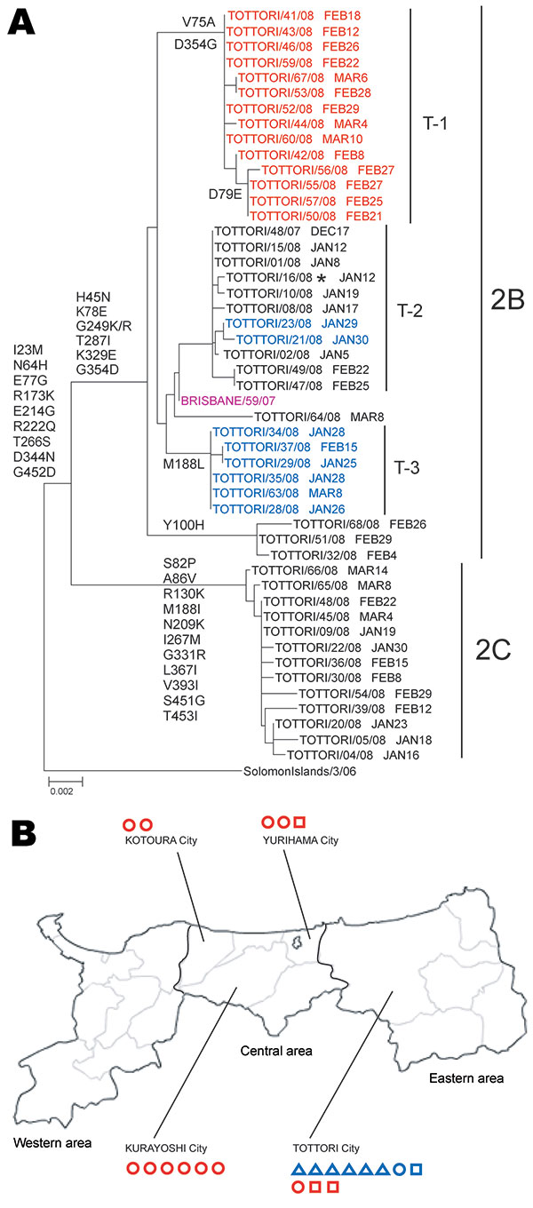 Phylogenetic analysis of influenza A (H1N1) neuraminidase genes (A) and geographic distribution of oseltamivir-resistant viruses (ORVs) (B) isolated from Tottori Prefecture, Japan, 2007–08. ORVs fell into either Northern-Eu lineage (red) or Hawaii lineage (blue); Tottori ORVs and current vaccine strains are indicated by black and purple, respectively. A) ORVs formed 3 subclades: T-1, sharing V75A and D354G; T-2, without common changes; and T-3, sharing M188L. Sampling dates are given after each
