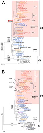 Thumbnail of Phylogenetic analysis of influenza A (H1N1) A) neuraminidase (NA) genes and B) hemagglutinin (HA) (HA1 region) genes. Recent influenza viruses A (H1N1) fell into either clade 2B or clade 2C. Almost all oseltamivir-resistant viruses (ORVs) with H275Y belong to clade 2B and were further divided into 2 distinct lineages: Northern-EU lineage sharing 354G (pink shading); and Hawaii lineage sharing 354D. ORVs during 2008-09 shared A189T on HA, and formed 4 subclades: C-1 (HA: G185A and S1
