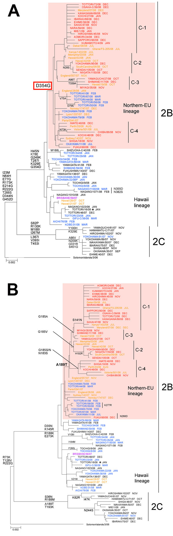 Phylogenetic analysis of influenza A (H1N1) A) neuraminidase (NA) genes and B) hemagglutinin (HA) (HA1 region) genes. Recent influenza viruses A (H1N1) fell into either clade 2B or clade 2C. Almost all oseltamivir-resistant viruses (ORVs) with H275Y belong to clade 2B and were further divided into 2 distinct lineages: Northern-EU lineage sharing 354G (pink shading); and Hawaii lineage sharing 354D. ORVs during 2008-09 shared A189T on HA, and formed 4 subclades: C-1 (HA: G185A and S141N); C-2 (HA