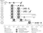 Thumbnail of Path of infection of influenza (H5N1), Pakistan, 2007. During October 22–30, patient 1 worked culling infected chickens; on November 2, he moved home and had contact with 4 brothers (patients 2–5) and possibly a cousin (patient 6). He was hospitalized on November 5 and transferred to an intensive care unit the next day. His cousin cared for him and became patient 6; his attending doctor became patient 7. On November 23, patient 3 was hospitalized and on November 28 was transferred t