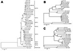 Thumbnail of Phylogenetic analysis of Saffold cardiovirus (SAFV) strains obtained in Beijing, China, 2007–2009, based on viral protein (VP) 1 (A), P1 capsid proteins (B), and full-length genomes (C). The trees, with 500 bootstrap replicates, were generated by using the neighbor-joining algorithm in MEGA 4.0 (10). Strains identified in this study are indicated by a specific identification code (BCH or BCHU), followed by the patient number and labeled with dark triangles (BCH133, BCH350, BCH895, B
