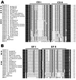 Thumbnail of Alignment of Saffold cardiovirus (SAFV) viral protein (VP) 1 CD (A) and VP2 EF (B) loop sequences from strains isolated in Beijing, China, 2007–2009. Columns highlighted in black show absolute amino acid conservation; those highlighted in gray show amino acids with highly similar properties. Strains identified in this study are labeled with dark triangles (BCH133, BCH1031, BCHU115, BCH350, BCH895, BCHU353 and BCHU79) (GenBank accession nos. GU126461, GU943513–GU943518), SAFV-1 (prot