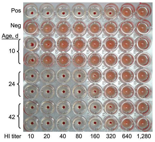 Antibody titer against influenza A pandemic (H1N1) 2009 by hemagglutination inhibition (HI) test on days 10, 24, and 42 of life of the patient.