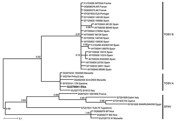 Bayesian phylogenetic tree of Toscana virus (TOSV) and Sandfly fever Naples virus (SFNV) strains. For each sequence used, GenBank accession number, strain designation, and strain origin are shown. Phylognetic analysis was performed by using MrBayes 3.0 program (4) with a general time reversible substitution model. Substitution rates were assumed to follow a gamma plus invariants distribution. Three heated chains and a single cold chain were used in all Markov Chain Monte Carlo analyses, which we