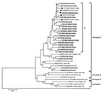 Thumbnail of Phylogenetic tree based on partial nucleotide sequences (275 bp) corresponding to the 5′-end open reading frame 2 region of the hepatitis E virus (HEV) genome. Phylogenetic analysis included HEV sequence recovered in the present study (black circle, boldface and underlined; GenBank accession no. FJ71877) and sequences corresponding to the HEV sequences hits with the highest BLASTn score (http://blast.ncbi.nlm.nih.gov) to this sequence (black triangles), previously recovered in our l