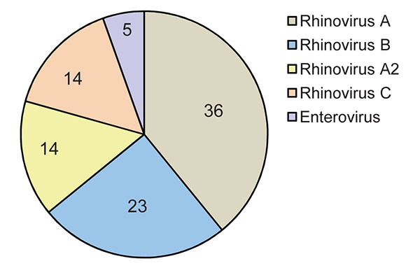 Results of 5′ noncoding region sequencing of 93 samples with identification of human rhinovirus by real-time reverse transcription–PCR, obtained from samples from 103 children with cystic fibrosis, Brazil, 2006–2007.