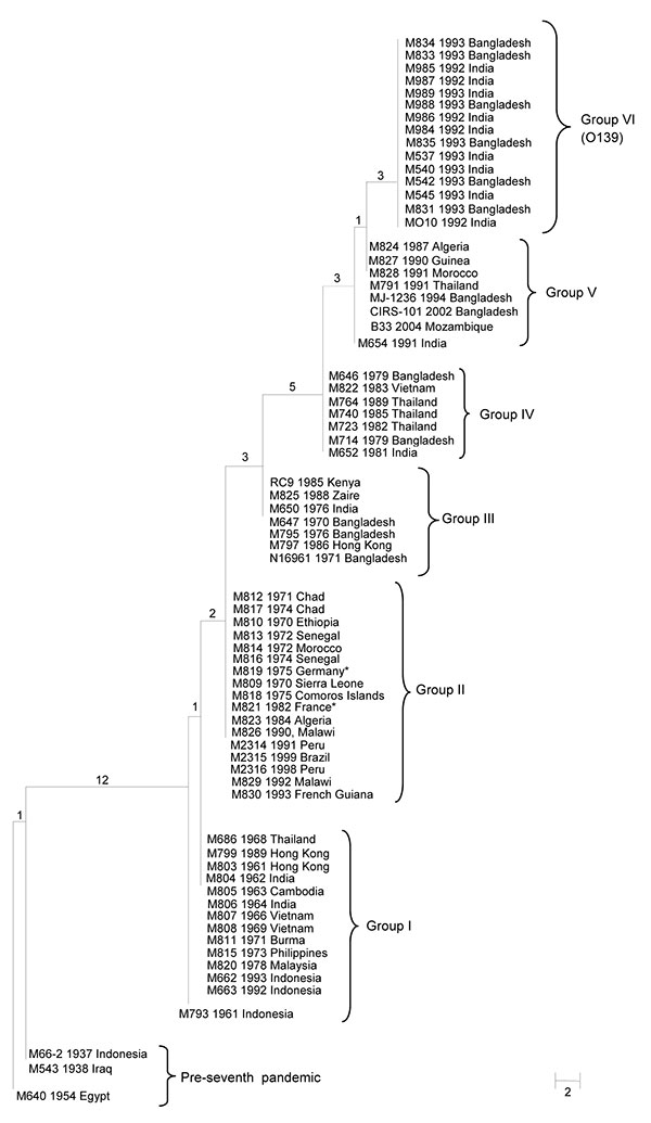 Maximum-parsimony tree of 68 seventh cholera pandemic and 3 pre–seventh cholera pandemic isolates. The tree was based on 18 N16961 seventh pandemic single-nucleotide polymorphisms (SNPs) and 12 MO10 O139 SNPs. The 3 pre–seventh pandemic isolates were used as an outgroup. Each strain name is followed by the year and location of isolation. All 15 O139 isolates had the same SNP profile and are shown as group VI. The numbers on each node represent the number of supporting SNPs. M821 and M819 from Fr
