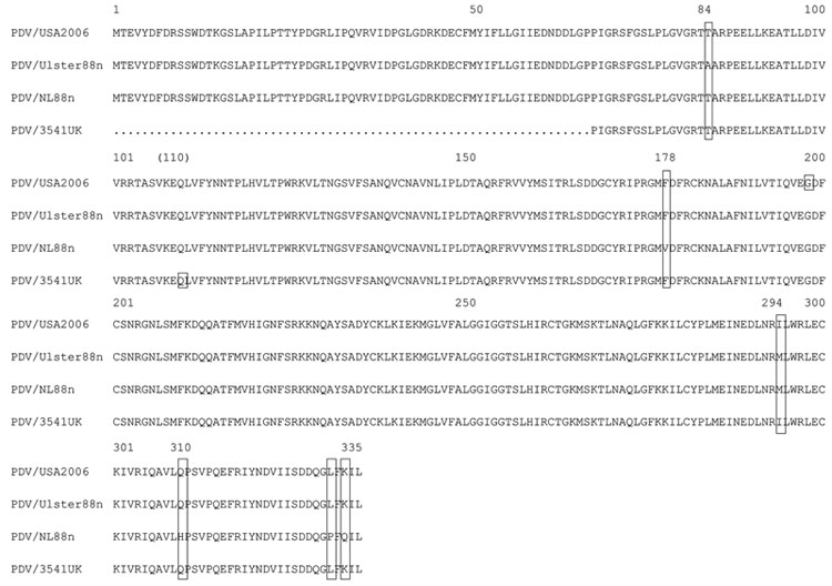Amino acid alignment of the matrix protein of phocine distemper virus (PDV) strains PDV/USA2006, PDV/Ulster88n, PDV/NL88n, and PDV/UK3541. The first 233 nt of the matrix gene of PDV/3541UK, as indicated by a dotted line, are undetermined. Large boxes indicate amino acid changes and small boxes the position of silent mutations.