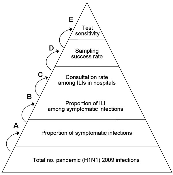 Model parameters for estimating the true number of persons infected with pandemic (H1N1) 2009 in Beijing. A, hospitals refer to level 2 and 3 hospitals in Beijing; B, sampling success rate was included in the model because not all actual positive specimens gave positive results because of the timing of collection or the quality of the specimen; C, test sensitivity was included in the model because not all actual positive specimens gave positive results due to the insensitivity of PCR reagent and