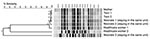 Thumbnail of Molecular typing of extended-spectrum β-lactamase–producing Escherichia coli isolates by pulsed-field gel electrophoresis. Dendrogram shows a cluster of 6 isolates with identical banding pattern and 2 isolates with 2 distinct patterns.