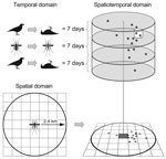 Thumbnail of Schematic of the Dynamic Continuous-Area Space-Time (DYCAST) procedure, illustrating domains of Knox test (16,17) implemented at the center of an individual ≈0.44 km2 grid cell. The 2.4-km (1.5-mi) radius of the spatial domain represents twice the daily feeding distance (14) of Culex spp. mosquitoes in California (18) and is equivalent to the effective flight range of these vectors (19,20). The 21-day temporal domain accounts for the extrinsic incubation period of West Nile virus (2