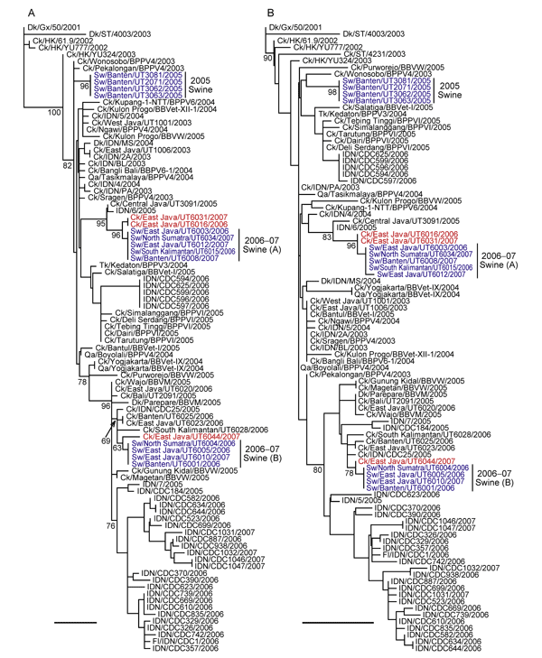 Phylogenetic relationships of the polymerase acidic protein (PA) (A) and nucleocapsid protein (NP) (B) genes of influenza A (H5N1) viruses in Indonesia. All trees were generated by neighbor-joining in ClustalW (www.clustal.org). Numbers above or below branches indicate neighbor-joining bootstrap values. Analyses were based on nucleotides 1426–2172 (747 bp) and 46–913 (868 bp) of the PA and NP genes, respectively. Each tree was rooted to A/duck/Guangxi/50/2001. Colors indicate swine isolates (blu