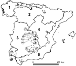 Thumbnail of The 5 peninsular bioregions (nos. 1–5) and the 21 sampling sites, Spain. Pie charts indicate local prevalence (in gray). Numbers indicate positive animals/sampled animals. Broken line borders indicate open sites; solid lines indicate fenced estates; asterisks indicate the 2 red deer farms.