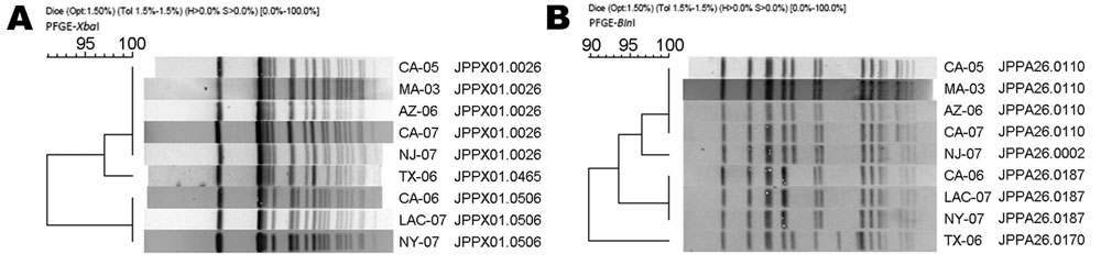 Pulsed-field gel electrophoresis (PFGE) XbaI (A) and BlnI (B) patterns of 9 ciprofloxacin-resistant Salmonella enterica serotype Typhi isolates detected in the National Antimicrobial Resistance Monitoring System, 1999–2008. PFGE pattern similarity was assessed by cluster analysis (Dice, UPGMA [unweighted pair group method using arithmetic average]) and band-matching applications of BioNumerics software (Applied Maths, Sint-Martens-Latem, Belgium) and confirmed by visual comparison. PulseNet only
