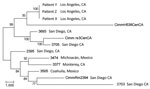 Thumbnail of Maximum-parsimony phylogenetic analysis of 13 Coccidioides immitis genomes. MEGA4 (13) was used to conduct maximum-parsimony analysis of all single-nucleotide polymorphism (SNP) loci common to the 3 transplant isolate genomes and the 10 publicly available C. immitis genome sequences (6,10). A total of 32,695 SNP positions were identified in the final dataset, of which 17,080 were parsimony informative. The percentages of replicate trees in which the associated taxa clustered in the