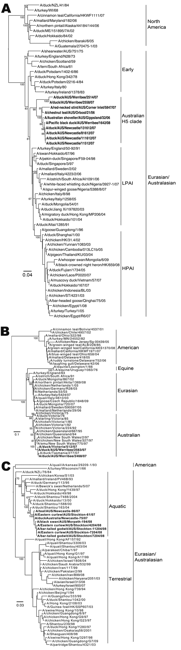 PCR-positive rates of avian influenza virus by season and species. Error bars indicate 95% confidence intervals.