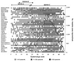 Thumbnail of Epidemic curve of measles epidemic in Kinshasa, Democratic Republic of the Congo, 2005. Numbers of reported measles cases per week are shown by epidemiologic week, and measles incidence per week in the 35 health districts of Kinshasa is illustrated by gray shading. The periods during which the main genotype B2 variants (B2KIN-A, -B, and -C) were identified in Kinshasa are indicated above the epidemic curve.