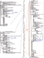 Thumbnail of Phylogenetic relationships among 2,492 complete hemagglutinin (HA) genes of pandemic (H1N1) 2009. At the center, the whole neighbor-joining tree. On the left, enlargement of 2 regions of the tree including pure monophyletic D222G clusters, indicated in blue. On the right, enlargement of the monophyletic D222E virus cluster, including 98% of the global 222E isolates (red box). E222G variant isolates, as examples, respectively, from Italy (4), Norway (1), Sweden, and the United Kingdo