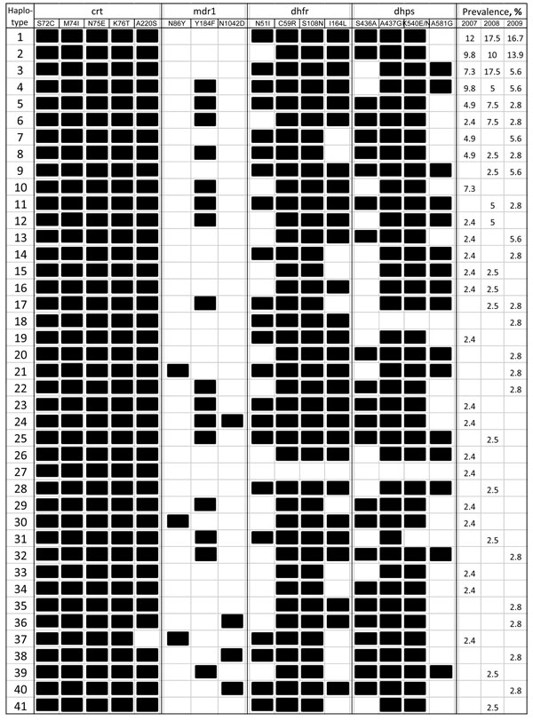 Multilocus genotypes in Plasmodium falciparum isolates, Kachin State, northeastern Myanmar, 2007–2009. A total of 41 haplotypes were identified from 117 parasite isolates. Wild-type and mutated amino acids are shown in white and black, respectively. Prevalence (%) of each multilocus genotype in each year is indicated in the right columns.