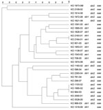 Thumbnail of Dendrogram of Shiga toxin–producing Escherichia coli O26 strains isolated from human patients, Switzerland, 2000–2009. stx, Shiga toxin gene; eae, intimin gene. Scale bar indicates degree of similarity (%).