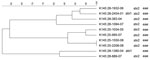 Thumbnail of Dendrogram of Shiga toxin–producing Escherichia coli O145 strains isolated from human patients, Switzerland, 2000–2009. stx, Shiga toxin gene; eae, intimin gene. Scale bar indicates degree of similarity (%).