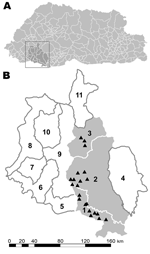 Thumbnail of A) Bhutan, with the Chhukha district enclosed. B) The 11 subdistricts of Chukhha district. 1, Dala; 2, Bongo; 3, Bjachho; 4, Genata; 5, Sampheling; 6, Phuentsholing; 7, Logchina; 8, Dungna; 9, Geling; 10, Metap; 11, Chapcha. Gray shading indicates the study areas (1–3); triangles (▲) indicate locations of rabies outbreaks.