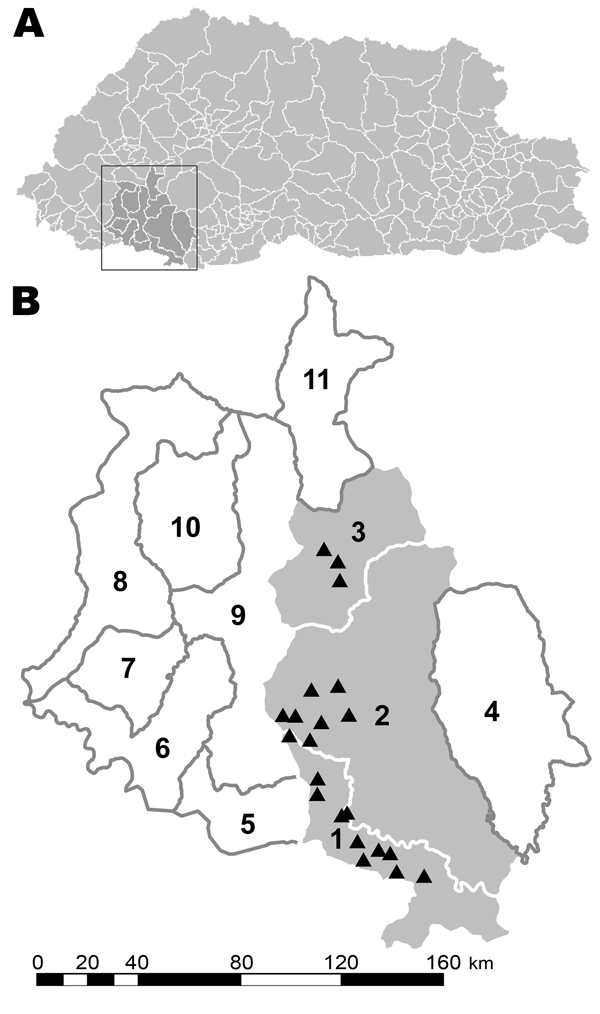 A) Bhutan, with the Chhukha district enclosed. B) The 11 subdistricts of Chukhha district. 1, Dala; 2, Bongo; 3, Bjachho; 4, Genata; 5, Sampheling; 6, Phuentsholing; 7, Logchina; 8, Dungna; 9, Geling; 10, Metap; 11, Chapcha. Gray shading indicates the study areas (1–3); triangles (▲) indicate locations of rabies outbreaks.
