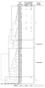 Thumbnail of Phylogeny and clusters of multispacer typing (MST) genotypes of Bartonella henselae isolates from humans and cats, Japan, based on 9 concatenated intergenic spacer sequences in 57 MST genotypes. The unweighted pair-group method with arithmetic mean method in MEGA4 software (12) was used for phylogenetic analysis. Dotted rectangles show 4 clusters of MST genotypes, 2 of which correspond to the B. henselae Houston-1 and Marseille type strains. Scale bar indicates nucleotide substituti