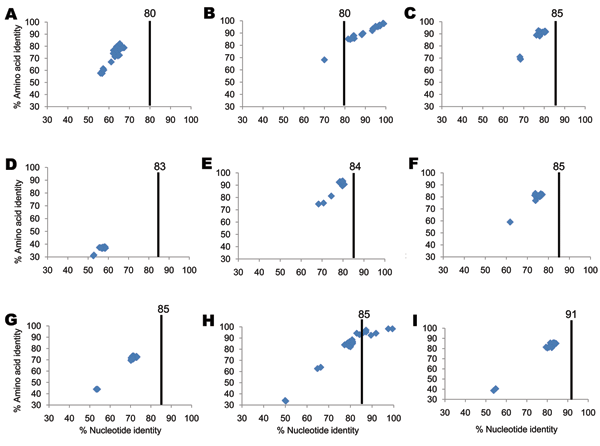 Percentage nucleotide and deduced amino acid homologies of A) viral protein 7 (VP7), B) VP4, C) VP6, D) VP1, E) VP2, F) nonstructural protein 2 (NSP2), G) NSP3, H) NSP4, and I) NSP5 gene segments of bat rotavirus strain Bat/KE4852/07 from Kenya compared with respective genes deposited in GenBank. Vertical lines indicate nucleotide percentage identity cutoff values defining genotypes for 11 rotavirus gene segments (7,10). Blue diamonds indicate coordinates for each pairwise comparison when percen