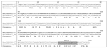 Thumbnail of Alignment of viral protein 1 (VP1) amino acid sequence of bat rotavirus strain KE4852/07 from Kenya with cognate VP1 sequence of reference rotavirus A strain S2. The consensus line shows conserved amino acid residues and similar residues (indicated by +). The motif F region (27) is shaded.