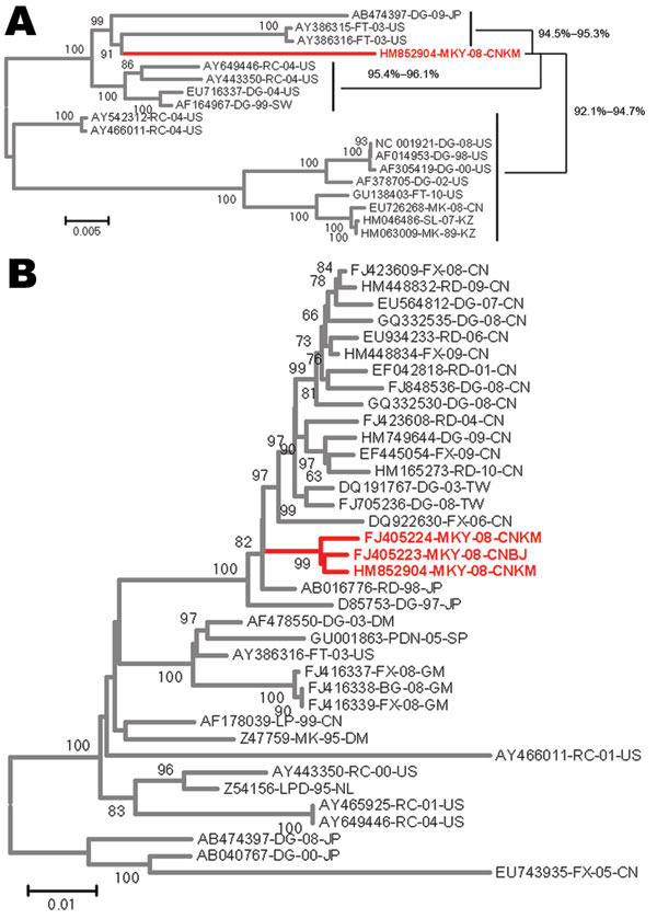 Phylogenetic analysis of the canine distemper virus by comparison of the genome or gene of the monkey isolate with other canine distemper virus isolates. A) Full genome. B) H gene. FX, fox; CN, People’s Republic of China; RD, raccoon dog; DG, dog; TW, Taiwan; MKY, monkey; CNKM, Kunming, People’s Republic of China; CNBJ, Beijing, People’s Republic of China; JP, Japan; DM, Denmark; PDN, Lynx pardinus; SP, Spain; FT, ferret; US, United States; GM, Germany; BG, badger; LP, lesser panda; MK, mink; RC
