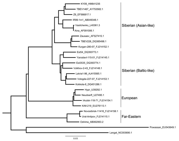 Maximum-likelihood phylogenetic tree of relationship between various tick-borne encephalitis virus (TBEV) strains isolated from rodents, insectivores, and ticks, Kyrgyzstan, 2007 and 2009. Tree is based on partial sequencing of the envelope protein (from Cys3 to Gly286). Strain names are followed by GenBank accession numbers. The strain from Ala-Archa (KY09_HM641235) is most closely related to strains from Novosibirsk (TBEV 1467 and Z6). This strain was isolated from an Ixodes persulcatus tick p