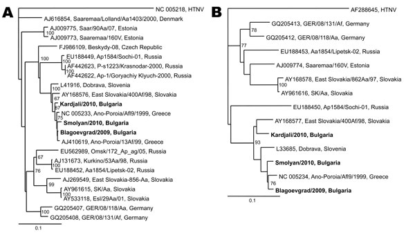 Phylogenetic trees based on a 560-bp fragment of the small RNA segment (A) and a 224-bp fragment of the medium RNA segment (B) of hantaviruses. Hantaan virus (HTNV) was used as the outgroup. The numbers at the nodes indicate percentage bootstrap replicates of 100; values &lt;60% are not shown. Horizontal distances are proportional to the nucleotide differences. Sequences in the tree are indicated as GenBank accession number, strain name, country. Strains from this study are shown in boldface. Sc