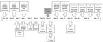 Thumbnail of Timeline of investigation of secondary and tertiary transmission of vaccinia virus from a US military service member, New York, USA, 2010. NYSDOH, New York State Department of Health; PH, public health; VIG, varicella immune globulin; PMD, private physician; derm, dermatologist.