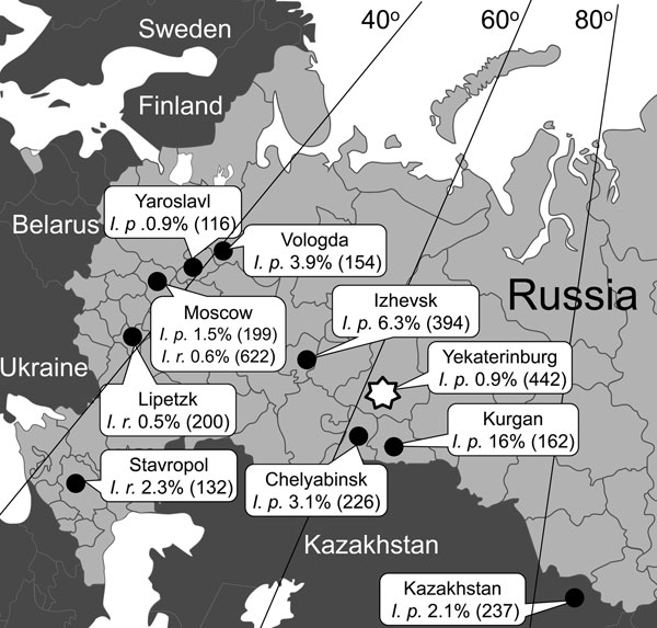 Percentage of Ixodes persulcatus (I. p.) and I. ricinus (I. r.) ticks infected with Borrelia miyamotoi in Russia. The number of ticks that were tested is given in parenthesis. Star indicates study location of human B. miyamotoi infection.