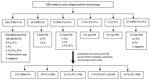 Thumbnail of Distribution of malaria cases diagnosed by microscopy and PCR among all age groups, Kudat, Malaysia, January 1–November 30, 2009. P.m., Plasmodium malariae; P.f., P. falciparum; P.v., P. vivax; P.k., P. knowlesi; neg, negative.