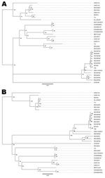 Thumbnail of Phylogenetic trees of the small segment 1 of reoviruses. A) Nucleotide sequences; B) amino acid sequences. Scale bars indicate nucleotide (A) and amino acid (B) substitutions per site.