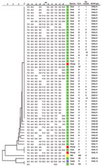 Thumbnail of Phylogenetic tree with genotypes of Coxiella burnetii of all samples in the study, the Netherlands, on the basis of 10 multilocus variable-number tandem-repeat analyses (MLVA). Repeats per locus are shown; open spots indicate missing values. NM, Nine Mile reference strain.