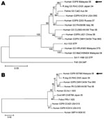 Thumbnail of Phylogenetic relationship of nucleotide sequences of genes encoding the outer capsid proteins VP7 and VP4 from G3P[9] rotavirus strains. A) Evolutionary relationship of G3 VP7 nucleotide sequences. B) Evolutionary relationship of P[9] VP4 nucleotide sequences. The evolutionary relationship was inferred by using the neighbor-joining method. The percentages of the bootstrap test (2,000 replicates) are shown next to the branches. The evolutionary distances were computed by using the ma