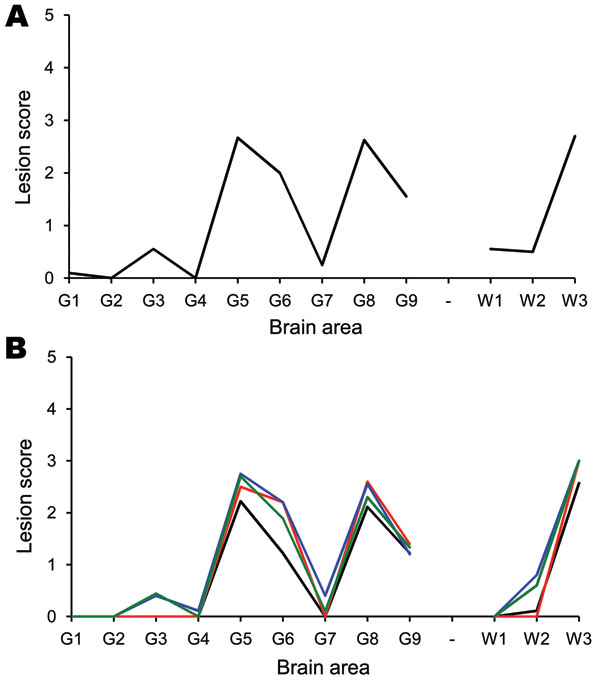 Tg338 mouse vacuolation lesion profiles of mice infected with scrapie. Only clinically affected mice were considered when generating the lesion profiles. Number in parentheses indicates the mean incubation period of the mice, which contributed to the lesion profile. A) The donor AHQ/AHQ sheep (177 ± 3; n = 10). This profile is compatible with that obtained from other naturally-occurring cases of atypical scrapie (19,20). B) Recipient sheep brain and distal ileum. Cerebellum from animal 12 (179 ±