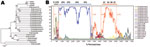 Thumbnail of Classification of coxsackievirus 16A (CA16) sequences from the People’s Republic of China into human enterovirus (HEV) groups. A) Phylogenetic analysis performed by using all HEV reference samples from China classified as HEV-A but not as CA16. All sequences were retrieved from GenBank. The sequences used corresponded to positions 2–7,407 bp in shzh00-1. MEGA4 software (12) was used as the analytic program and Kimura 2-parameter as the model. The phylogenetic tree was determined for